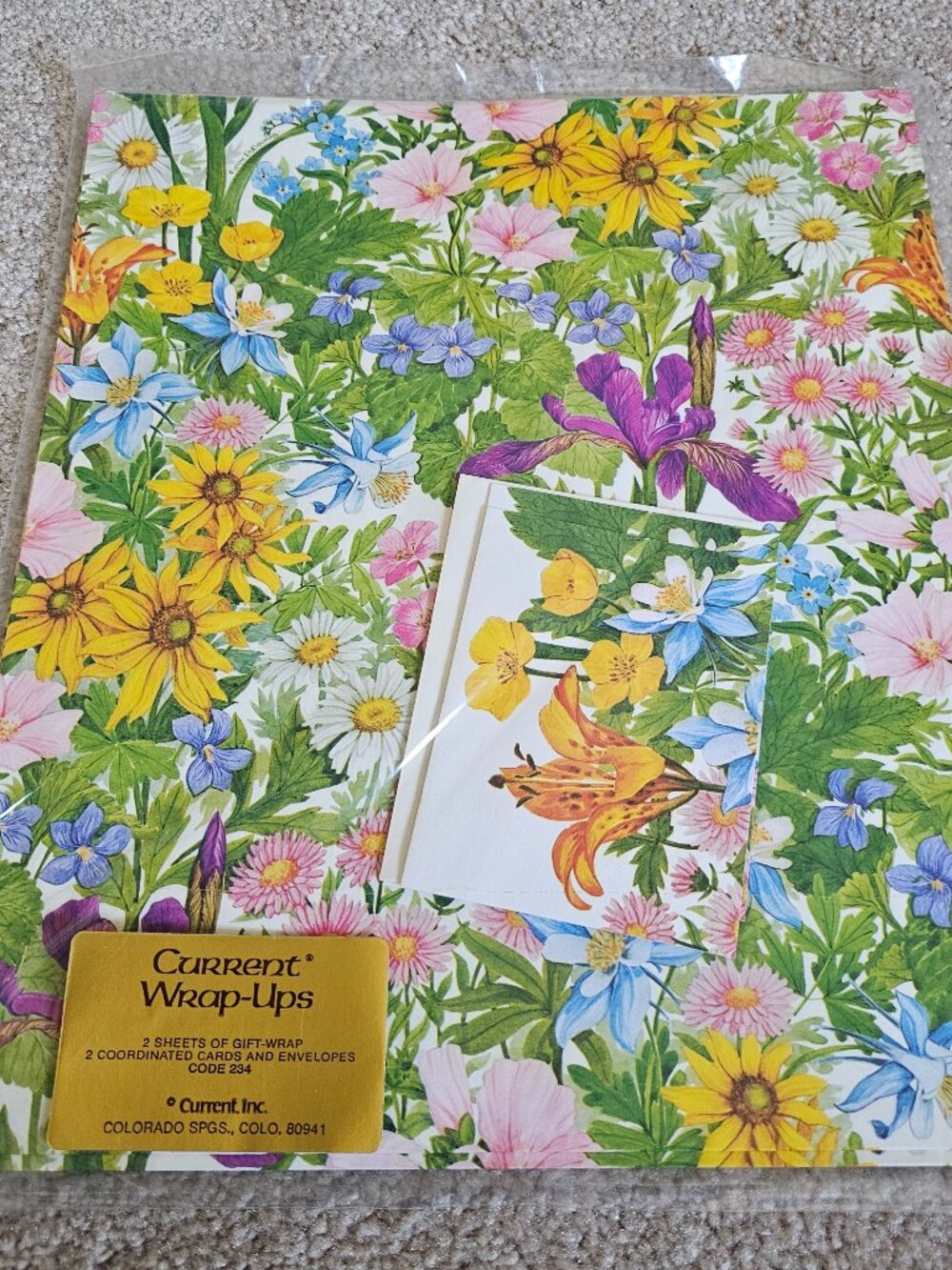 Current Gift Wrap Wildflowers Garden Wrap-Ups 2 Sheets 2 Cards Deberney 1980s